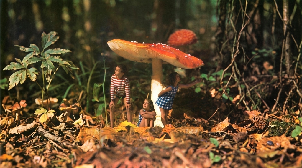 Crianças e o grande cogumelo